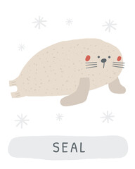 Winter flashcard. Learning English words for kids. Cute hand drawn doodle educational card with seal. Preschool learning material