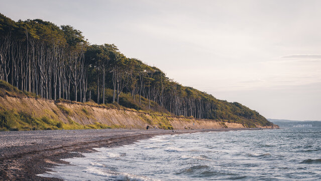 Aufnahme vom Strand/K&uuml;ste Nienhagen, sehr malerische Umgebung mit einem Wald direkt am Meer