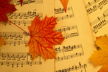 music paper and autumn maple leaf - 672642195