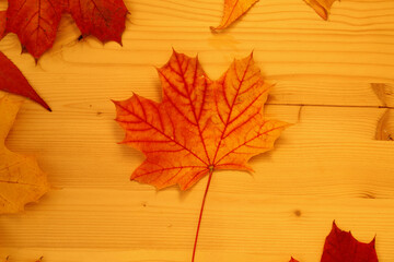 autumn leaves on wooden background - 672642735