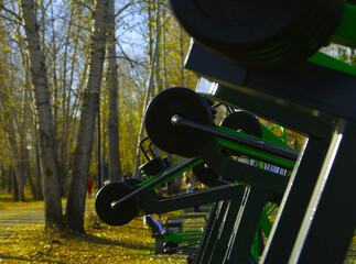 Strength training equipment in the autumn park