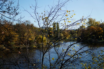 Lake in park in fall, tree branch on first plan