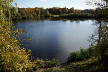 Lake in park in fall, tree on first plan
