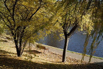 Lake in park in fall and bench on shore