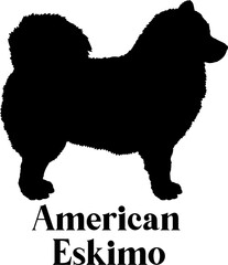 American Eskimo. Dog silhouette breeds dog breeds dog monogram logo dog face vector
SVG PNG EPS