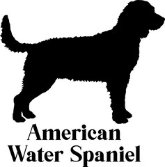 American Water Spaniel Dog silhouette breeds dog breeds dog monogram logo dog face vector
SVG PNG EPS