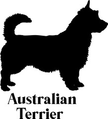 Australian Terrier. Dog silhouette breeds dog breeds dog monogram logo dog face vector
SVG PNG EPS