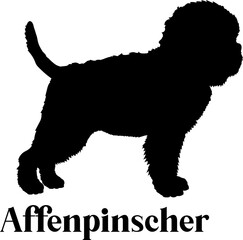 Affenpinscher Dog silhouette breeds dog breeds dog monogram logo dog face vector
SVG PNG EPS