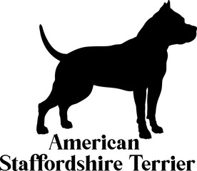 American Staffordshire Terrier Dog silhouette breeds dog breeds dog monogram logo dog face vector
SVG PNG EPS