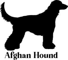 Afghan Hound Dog silhouette breeds dog breeds dog monogram logo dog face vector
SVG PNG EPS