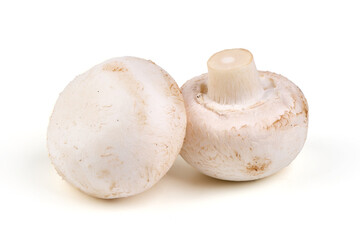 Many fresh champignon mushrooms, isolated on white background.