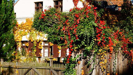 Fototapeta na wymiar old house in autumn