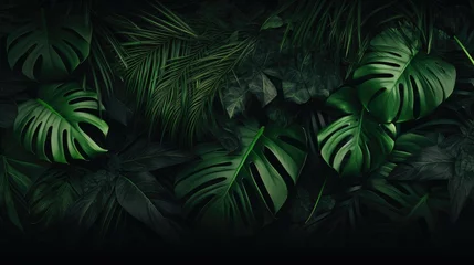 Foto op Aluminium Green leaves fern tropical rainforest background © NI