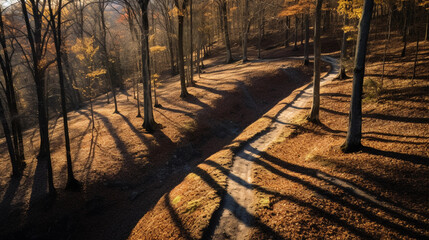 Aerial view of winding hiking trail through autumnal forest, vivid, saturated colors, fallen leaves, hikers as small dots