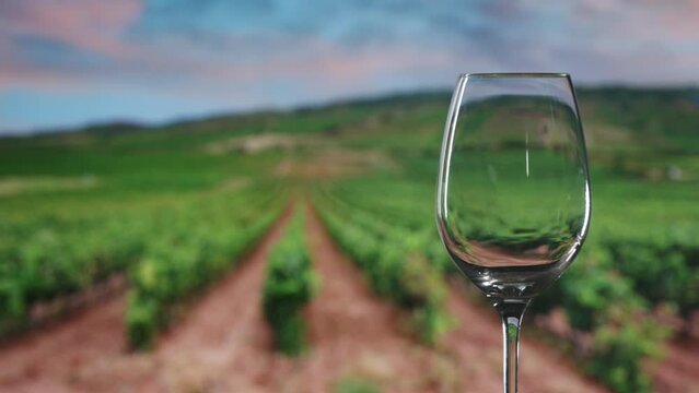 4k Pouring white wine Into Glass with wineyard at the sunset background