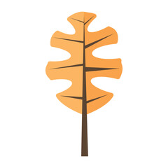 Simple vector illustration of an autumn leaf