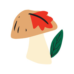 Mushroom set of vector illustrations isolated on white. White mushroom, chanterelles, honey agaric, mushrooms, fly agarics. Cartoon style.