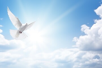 sky funeral background with white dove, copy space for text - obrazy, fototapety, plakaty