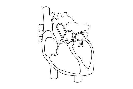 LEO880 photos, images, assets | Adobe Stock