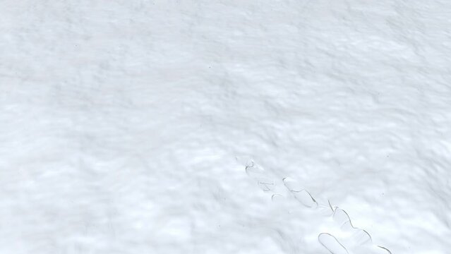 Walking on the white snow leave behind footprints. 