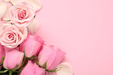 Beautiful roses on pink background, top view. Space for text