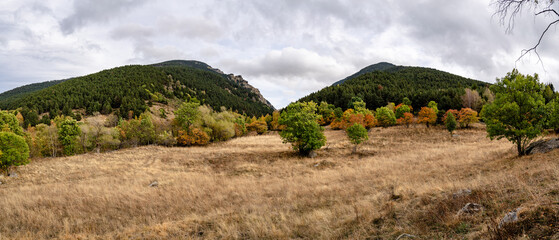 Fototapeta na wymiar Eyne Valley Panorama: Autumn's Twilight Glow in the French Pyrenees.