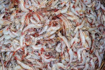 Close-up view of fresh red tail shrimp piled in a bamboo basket.