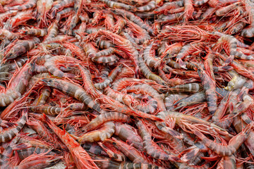 Stacked fresh tiger prawns are also known as bagda prawns in Asia. Close up view of red tiger shrimps in bamboo basket.