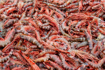 Stacked fresh tiger prawns are also known as bagda prawns in Asia. Close up view of red tiger shrimps in bamboo basket.