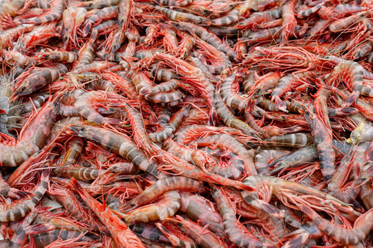 Stacked fresh tiger prawns are also known as bagda prawns in Asia. Close up view of red tiger shrimps in bamboo basket.