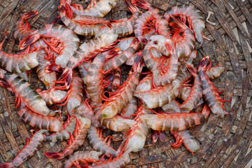 Close-up view of fresh red Tiger shrimp or Bagda Chingri piled in a bamboo basket.