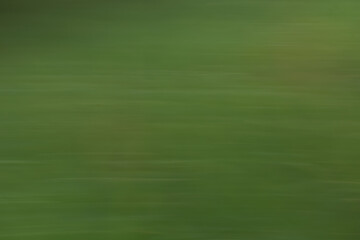 green grass background