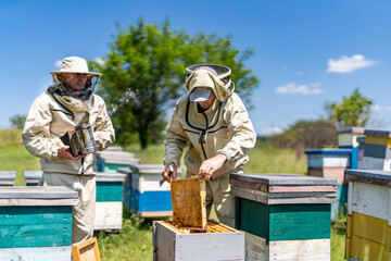 Beehive Inspection Reveals Beekeepers in Protective Suits. Two men in bee suits are inspecting a...