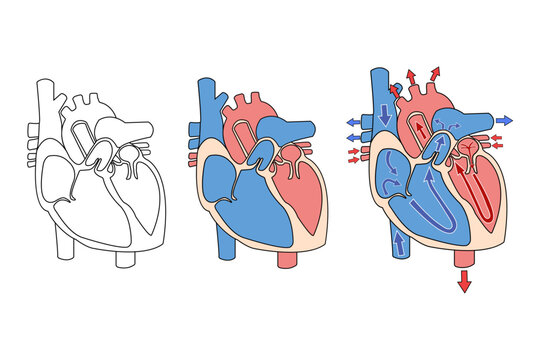 LEO880 photos, images, assets | Adobe Stock