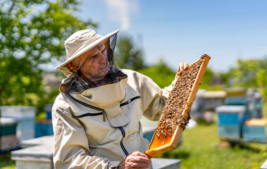 Beekeeper in Protective Suit With Beehive. A man in a bee suit holding a beehive