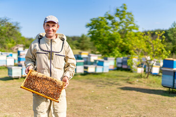 A man holding a beehive in a field. A Man Gently Handling a Beehive in a Picturesque Field
