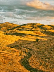 Oregon Landscapes USA