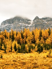 autumn in the mountains, BC Canada