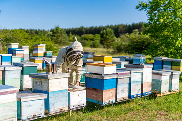 A Beekeeper in Protective Gear Standing by Beehives. A man in a bee suit standing next to a bunch...