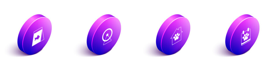 Set Isometric Food for fish, Hamster wheel, Pet house and Calendar grooming icon. Vector