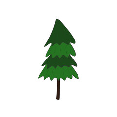 Fir Tree Illustration