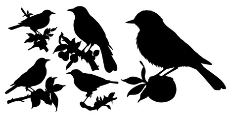 Baltimore oriole bird silhouettes