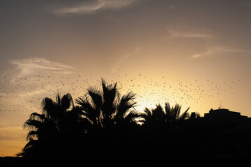 Beauty sunset