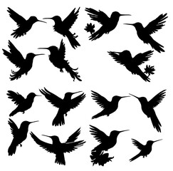 Obraz premium Hummingbird silhouettes