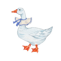 Watercolor white goose with holiday collar. Cute farm bird. Hand drawn illustration on transparent.