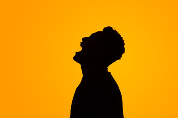 silhouette of a person screaming