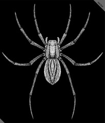 Engrave isolated spider hand drawn graphic vector illustration