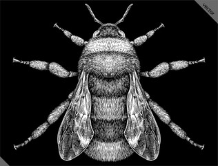 Engrave isolated bumblebee hand drawn graphic vector illustration