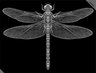 Engrave isolated dragonfly hand drawn graphic illustration