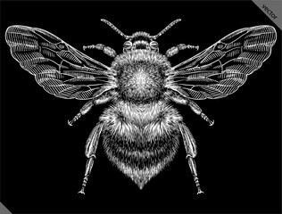 Engrave isolated bumblebee hand drawn graphic vector illustration - obrazy, fototapety, plakaty